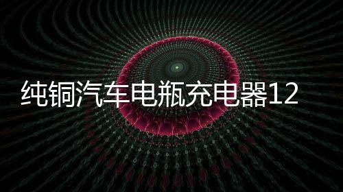 纯铜汽车电瓶充电器12V24V伏大功率充电机小车智能通用脉冲修复型