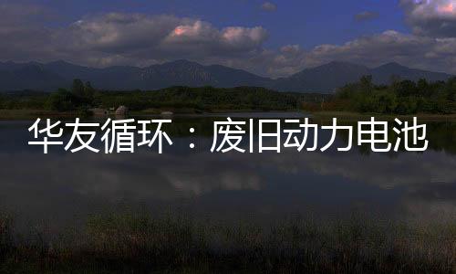华友循环：废旧动力电池处理产能每年可回收5783吨钴