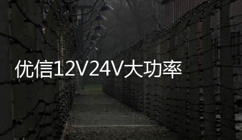 优信12V24V大功率货车卡车电瓶充电器12V汽车电瓶充电机船舶电池