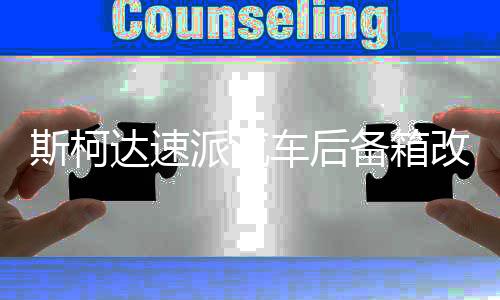 斯柯达速派汽车后备箱改装专用隔板装饰隔物板收纳配件储物箱整理