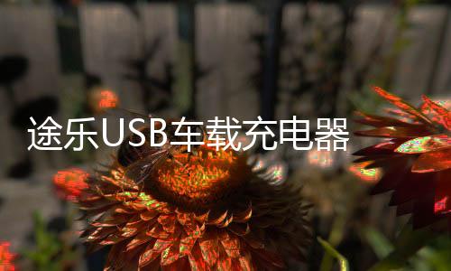 途乐USB车载充电器 涂乐快充USB接口改装配件车载USB充电口