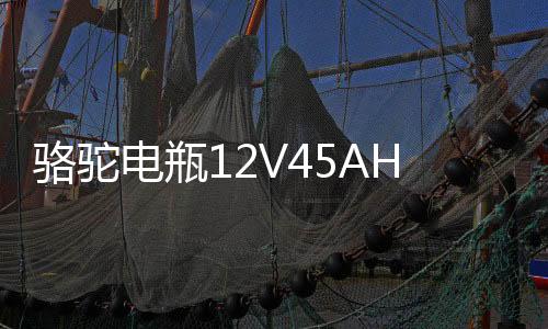 骆驼电瓶12V45AH适配长安面包车五菱宏光S轩逸思域十代汽车蓄电池