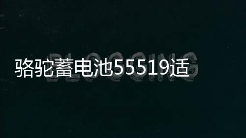 骆驼蓄电池55519适配福克斯嘉年华传祺赛欧名爵汽车电瓶12V55ah
