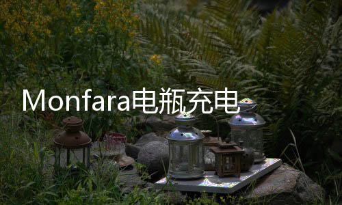 Monfara电瓶充电器12v24V伏汽车水电瓶充电机通用大功率充满自停
